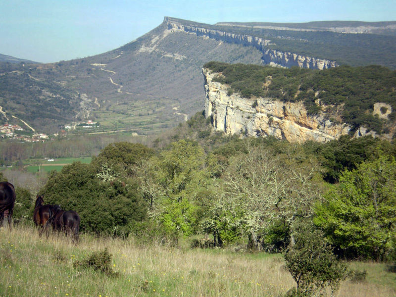El Castro