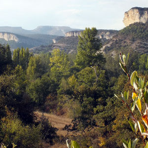 El Castro