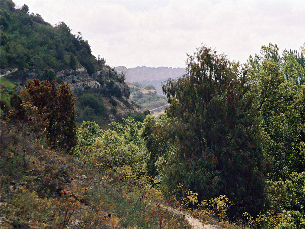 GR-1