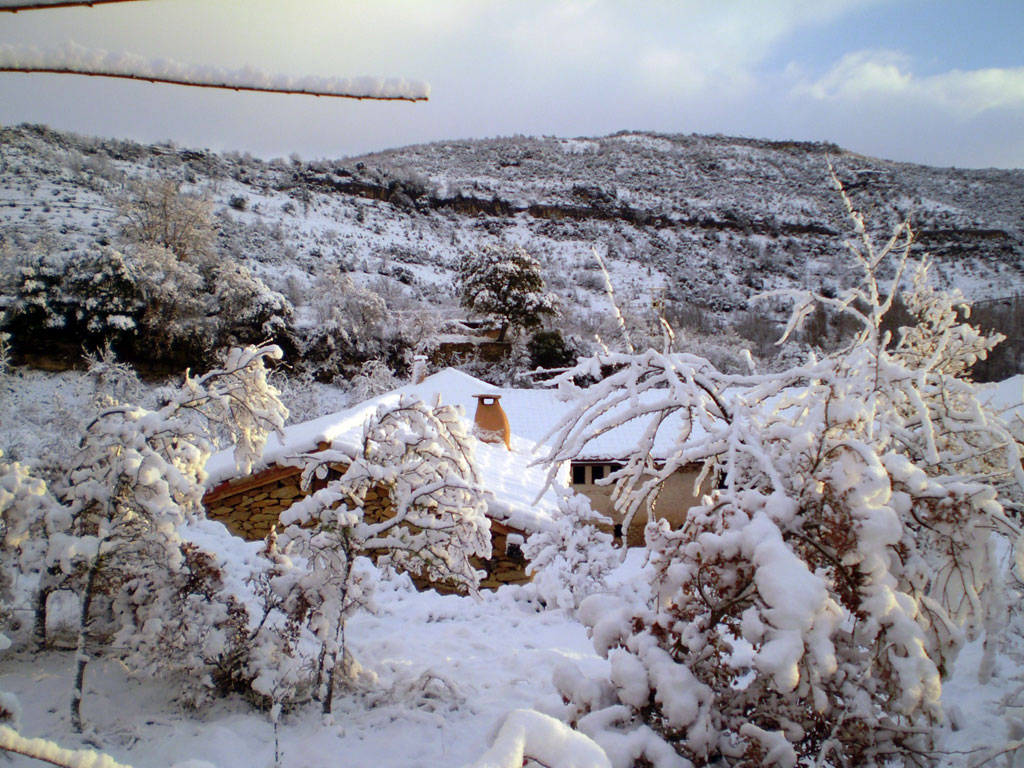 Nela nevado