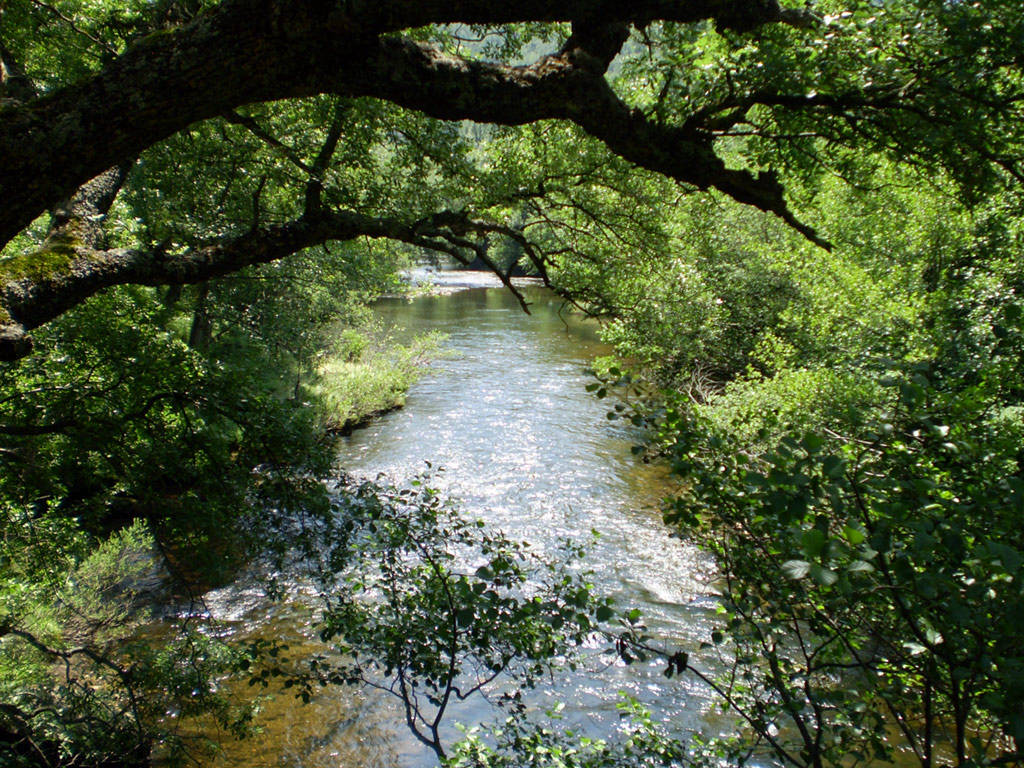 Río Nela