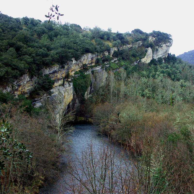 Río Nela